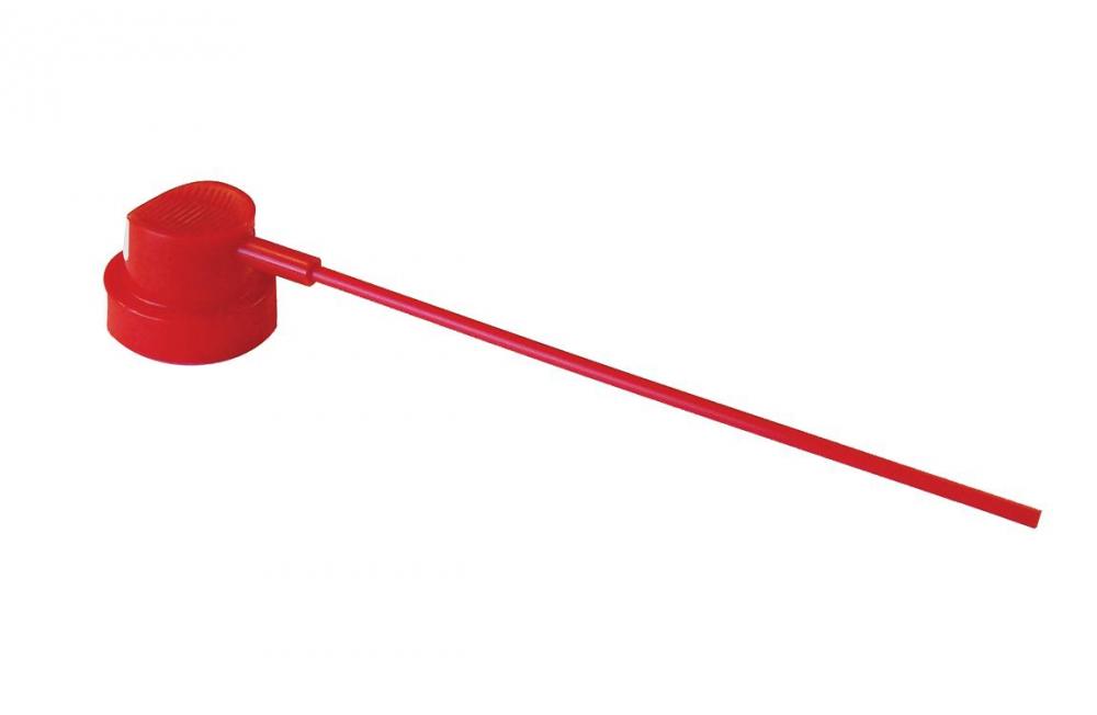 BEC AVEC LONGUE PAILLE