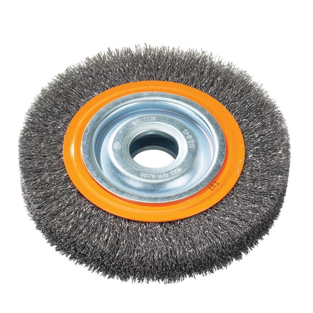 WALTER 8X1/2&#39;&#39; BROSSE D&#39;ÉTABLI CRÊPÉE