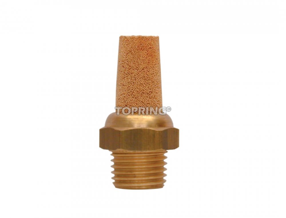 Silencieux/filtre en bronze 1(M)NPT