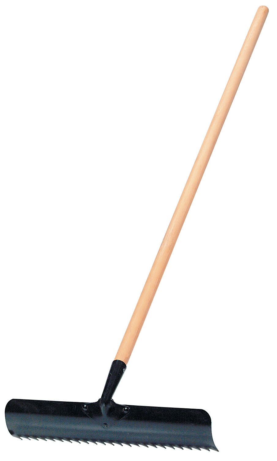 Dandelion and thatching rake 24 tines
